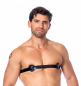 Preview: Brust-Harness mit Innendornen